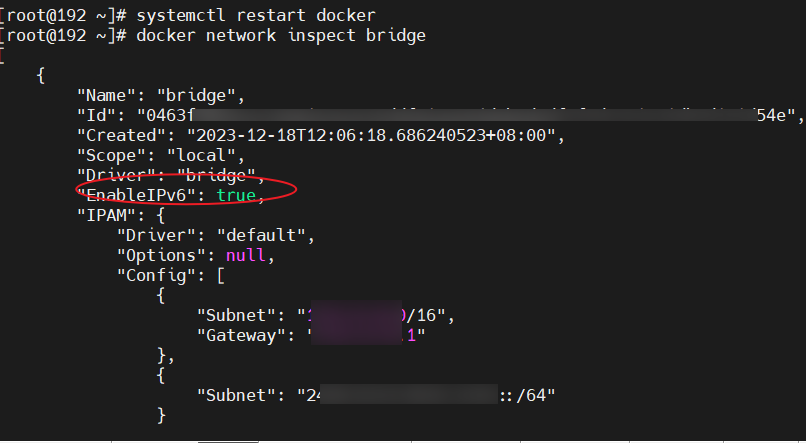 Docker 啟用 IPv6 支援