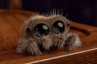 Featured image of post 磨耳朵英語動畫片 小跳蛛盧卡斯 Lucas the Spider免費下載