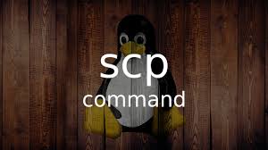 Featured image of post scp 複製檔案和目錄命令語法